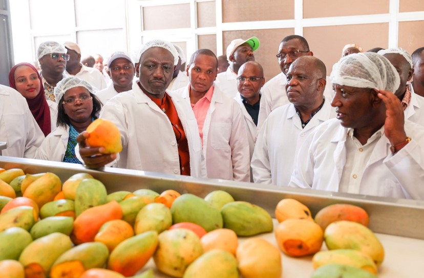 Government Opens  Kes 245 Million Mango Plant  In Tana River